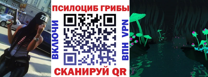 что такое наркотик Баксан Галлюциногенные грибы Psilocybe